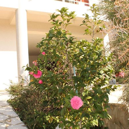 Apartments Vila Marica Rabac Esterno foto