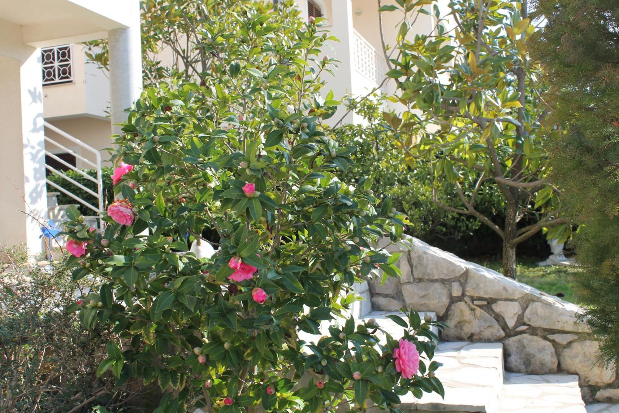 Apartments Vila Marica Rabac Esterno foto