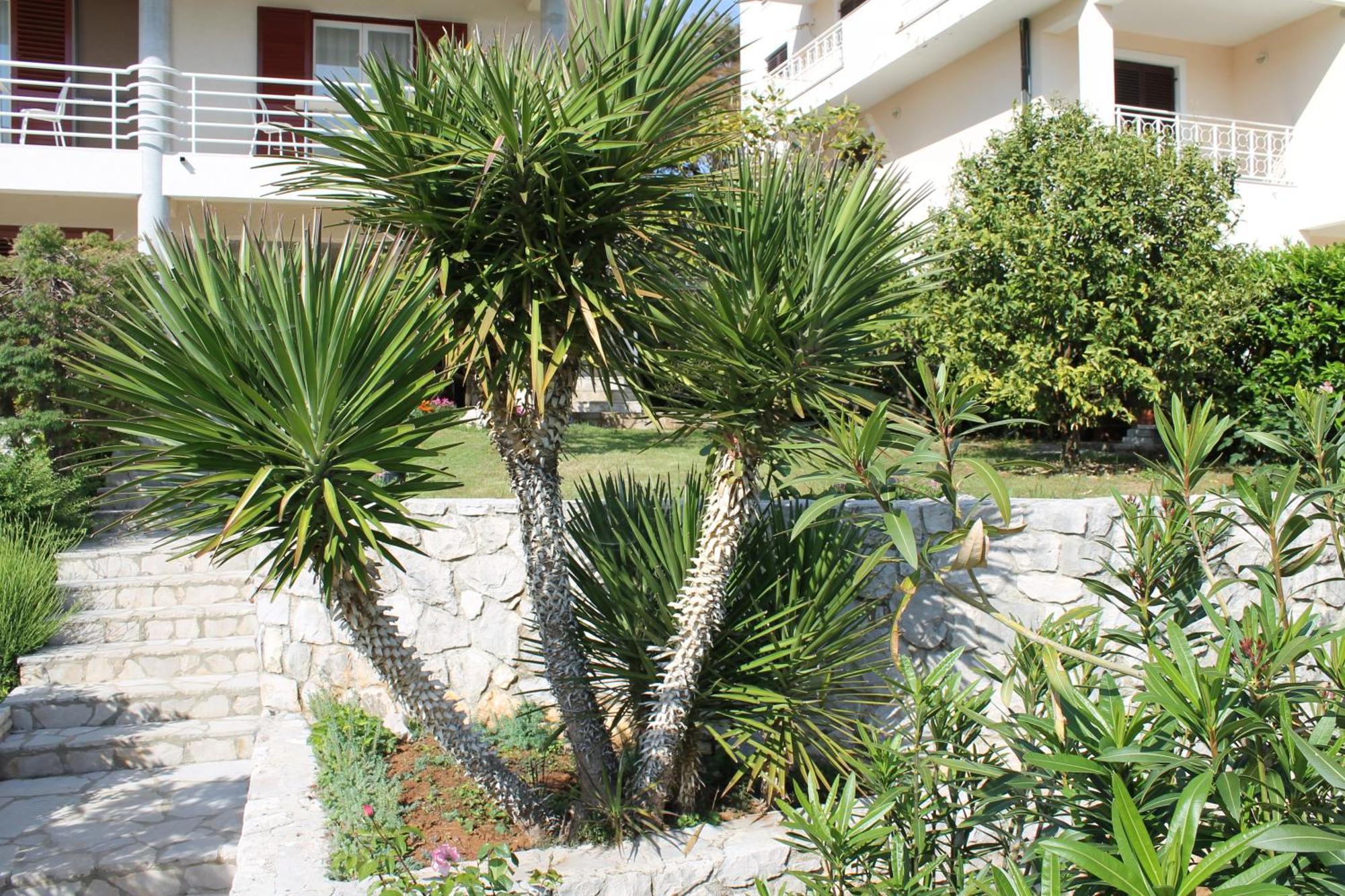 Apartments Vila Marica Rabac Esterno foto