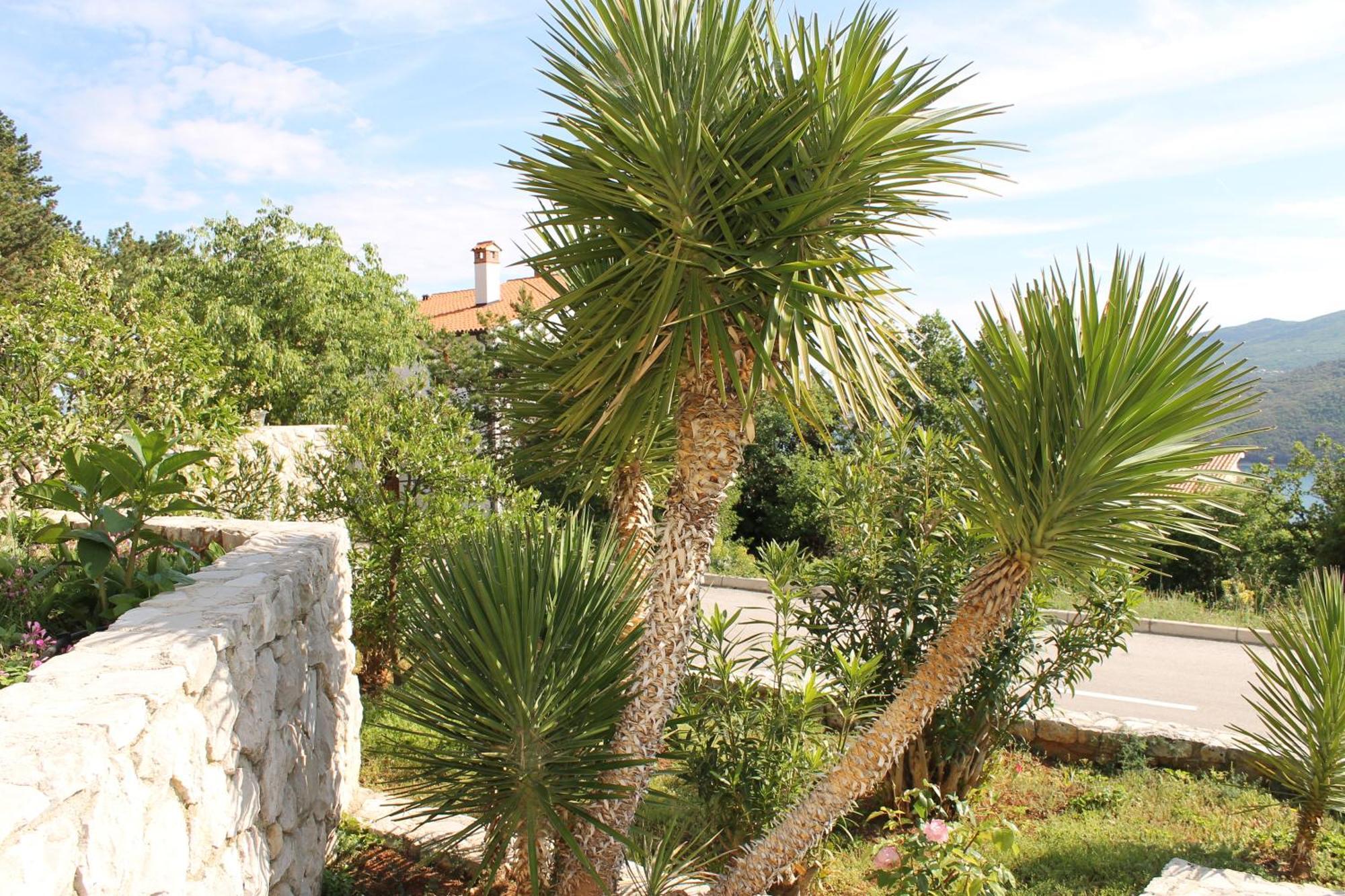 Apartments Vila Marica Rabac Esterno foto