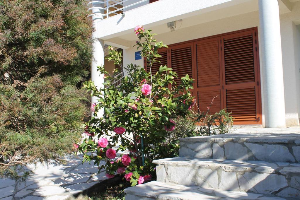 Apartments Vila Marica Rabac Esterno foto